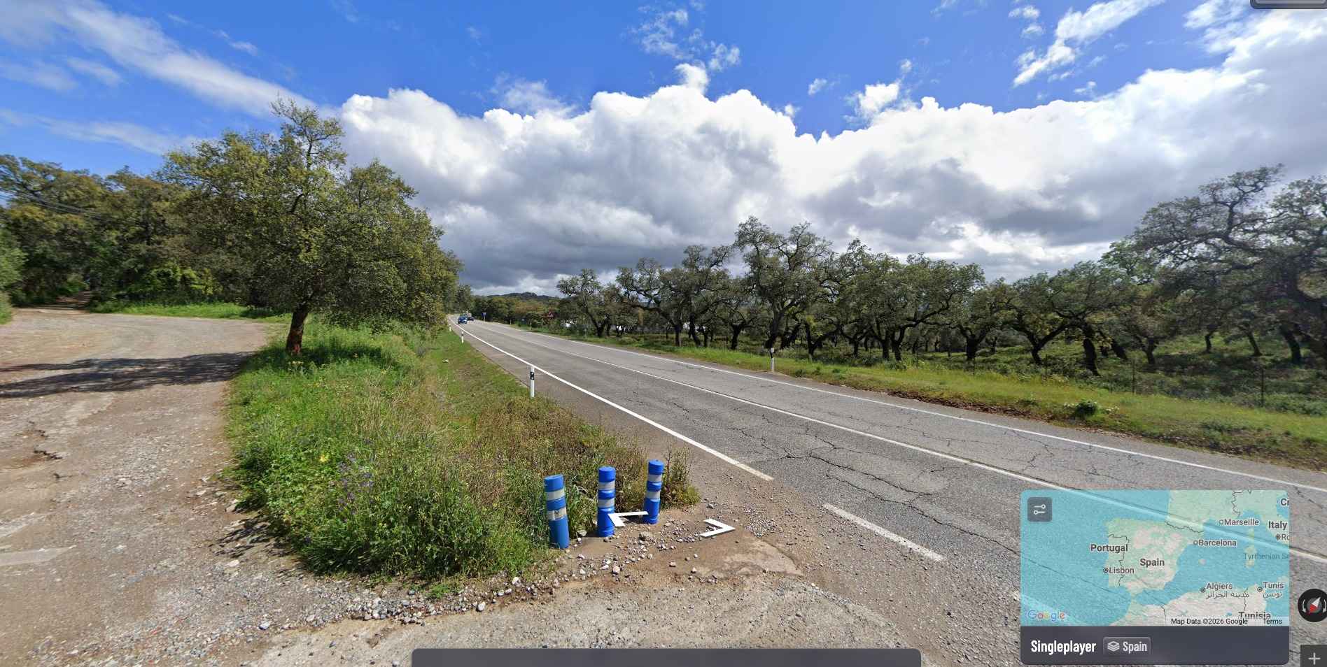 Roadside Bollards, Utility Poles, and Regional Signage Guides